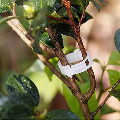 Plant Support Garden Clips ( Pack of 200 piece )