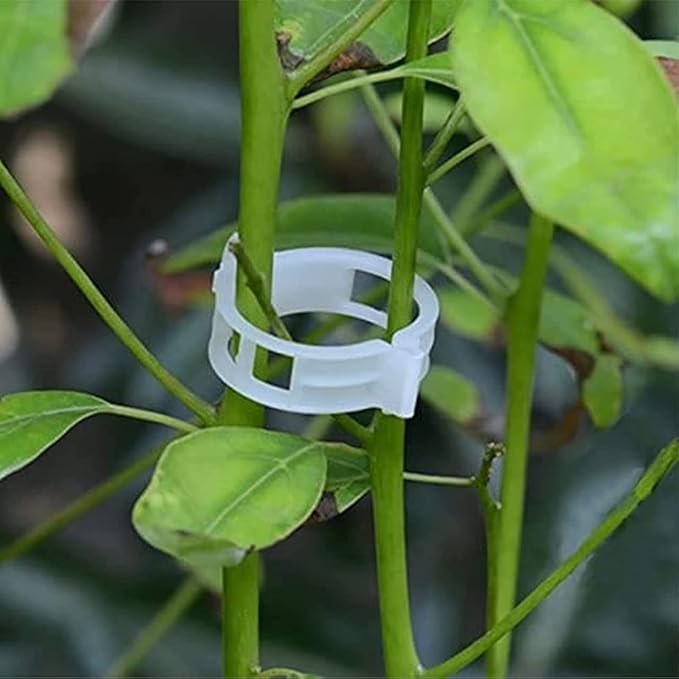 Plant Support Garden Clips ( Pack of 200 piece )