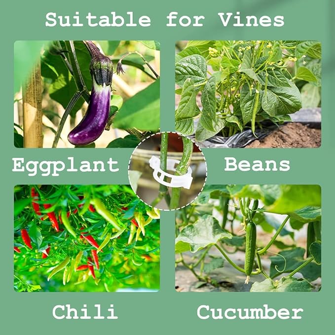 Plant Support Garden Clips ( Pack of 200 piece )