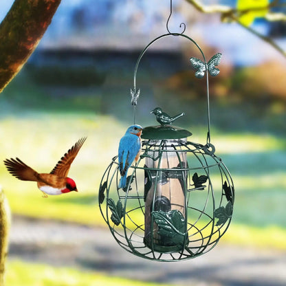Caged bird feeder hanging in garden