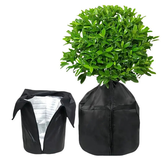 Frost protection plant cover on shrub